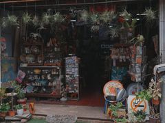-荷兰红屋