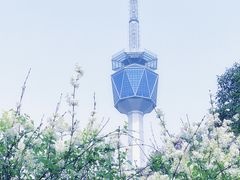 -陕西广播电视塔