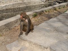-北京上方山国家森林公园