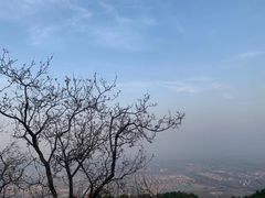 -鬼笑石后山停车场