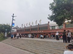 -白洋淀景区
