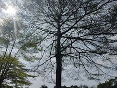 -东莞植物园