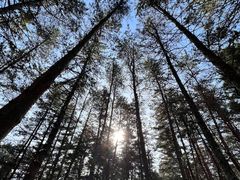 -帽儿山国家森林公园