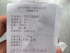 -心仪动物医院·牙专科·肿瘤·心脏科(西客站院)
