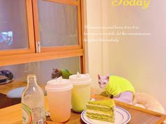 -有猫主题·治愈系猫咖(曾厝垵店)