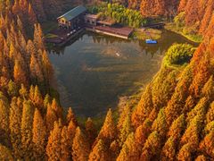 -黄海国家森林公园