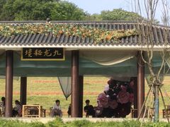 -飞天山旅游区