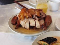 -凯鸽酒楼(操场城店)