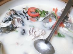千岛湖浓汤鱼头-全乐鱼馆·淳牌有机鱼直营店