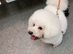 -安安宠医·安宠宠物医院