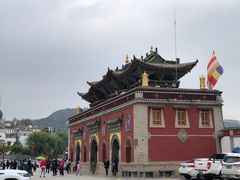 -塔尔寺菩提树