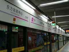 -东方体育中心(地铁站)