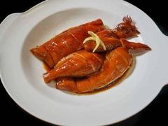 -新兴·金羊座·粤菜点心(乐峰店)