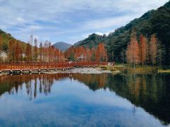 -广州市石门国家森林公园