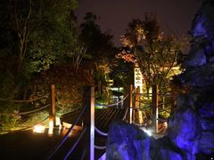 -二荆条·蜀鲜汇城市森林火锅