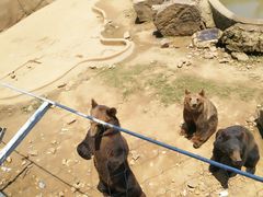 -无锡动物园·太湖欢乐园