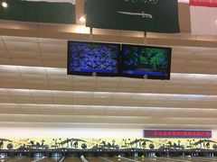 -广州保龄球馆(广州天河体育中心店)