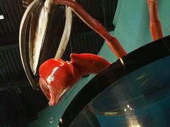 -瑞普利水族馆