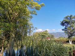 -抚仙湖禄充风景区