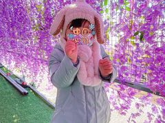 -绿野森林乐园冰雪季
