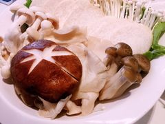 -密友回转自助火锅(世茂国际广场店)