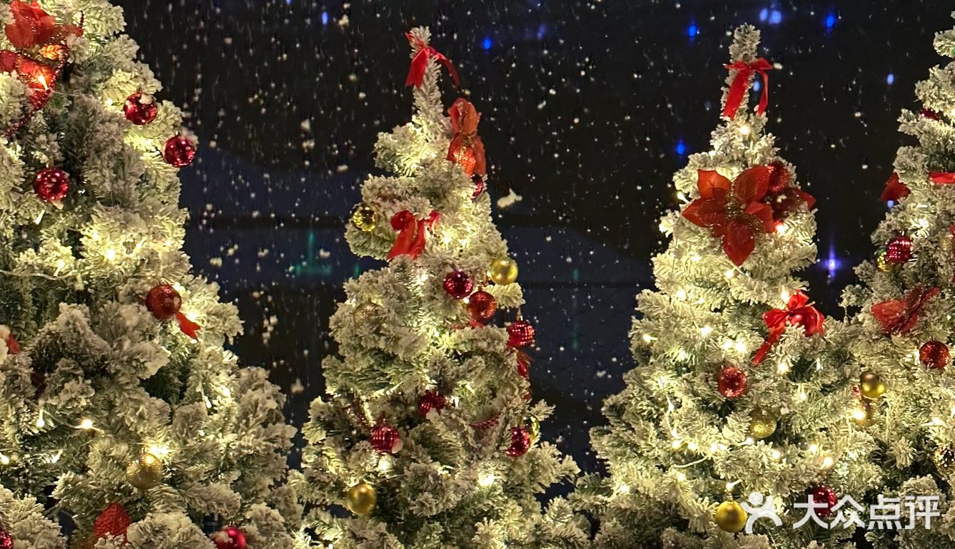 西湖边!室内圣诞树森林🌲好拍还不冷!!