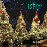 西湖边!室内圣诞树森林🌲好拍还不冷!!