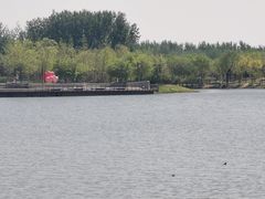 -东郊湿地公园
