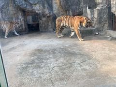 -南昌动物园