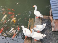 -苏州碑刻博物馆