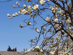 -西安市广仁寺