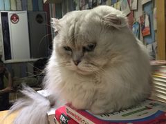 -小时光咖啡馆(开森度假森林店)