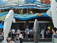 -海合安成都极地海洋公园