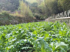 -宁海安岚·南溪阁全日餐厅