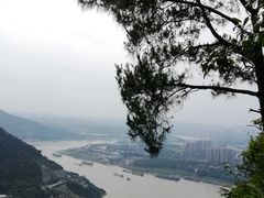 -铁山坪森林公园