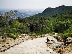 -北京西山国家森林公园