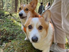 -硗碛藏寨·神木垒景区