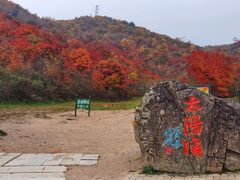 -龙道沟景区