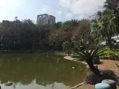 -黄埔荔枝公园