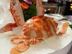 -潮府馆·非遗潮州菜·世纪公园(新国际博览中心店)