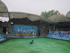 -合肥野生动物园