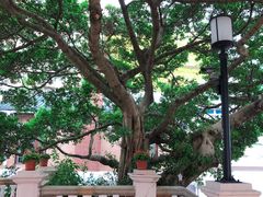 -香港大学