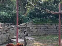 -上海野生动物园
