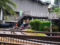 -圣淘沙天际线斜坡滑车