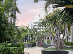 -池畔烧烤自助·海鲜·M秀演出(美高梅度假酒店)