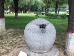 -裕华世纪公园
