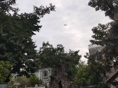 -荔湾博物馆