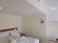 -三亚亚龙湾金棕榈度假酒店