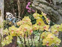 -海南热带雨林国家公园吊罗山景区