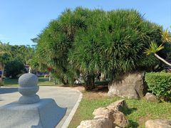 -三亚南山文化旅游区